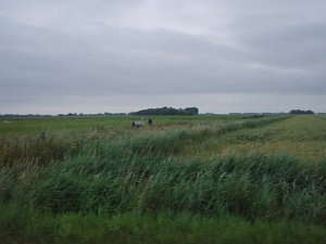 Mitternacht-Radmarathon 266